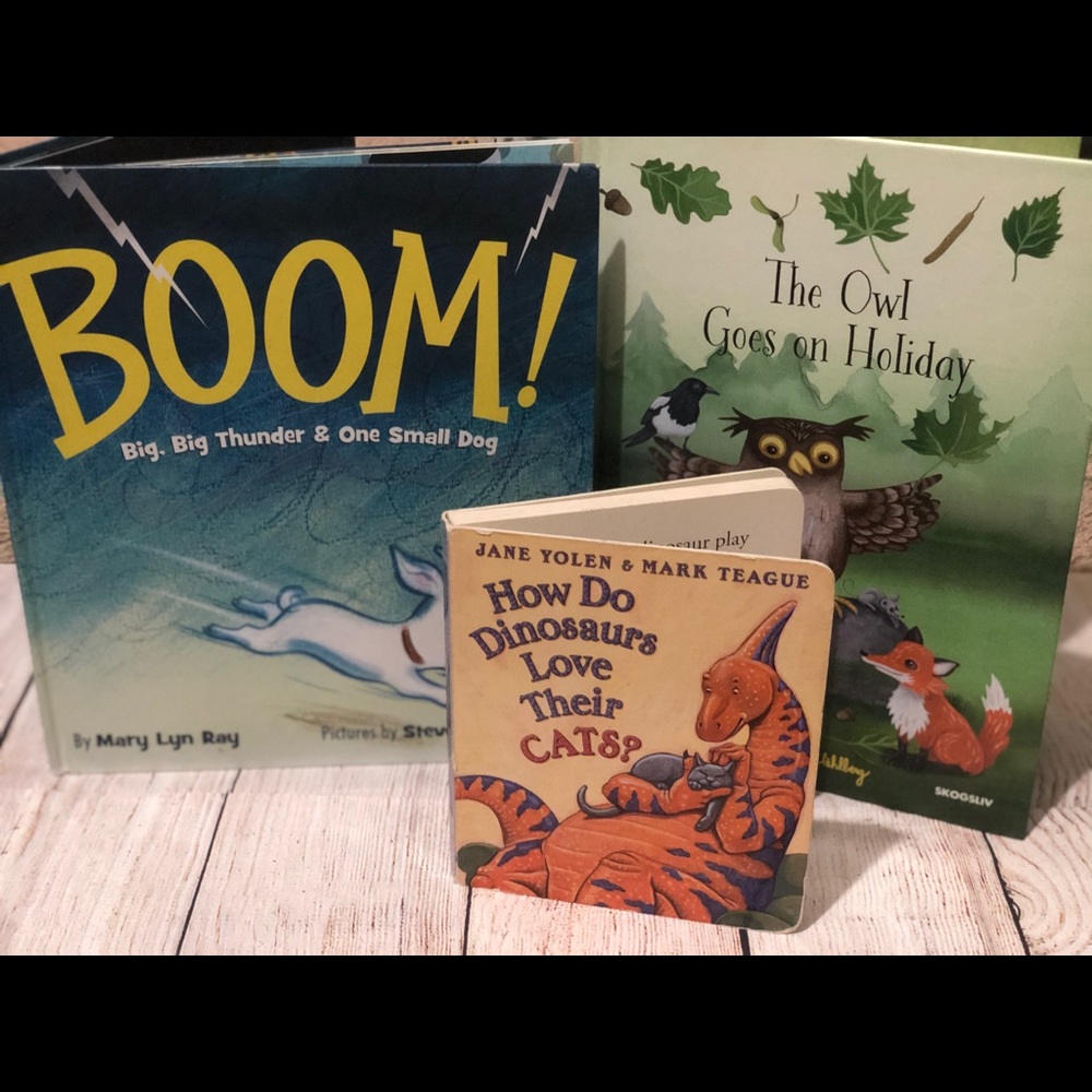 Children’s Book Bundle